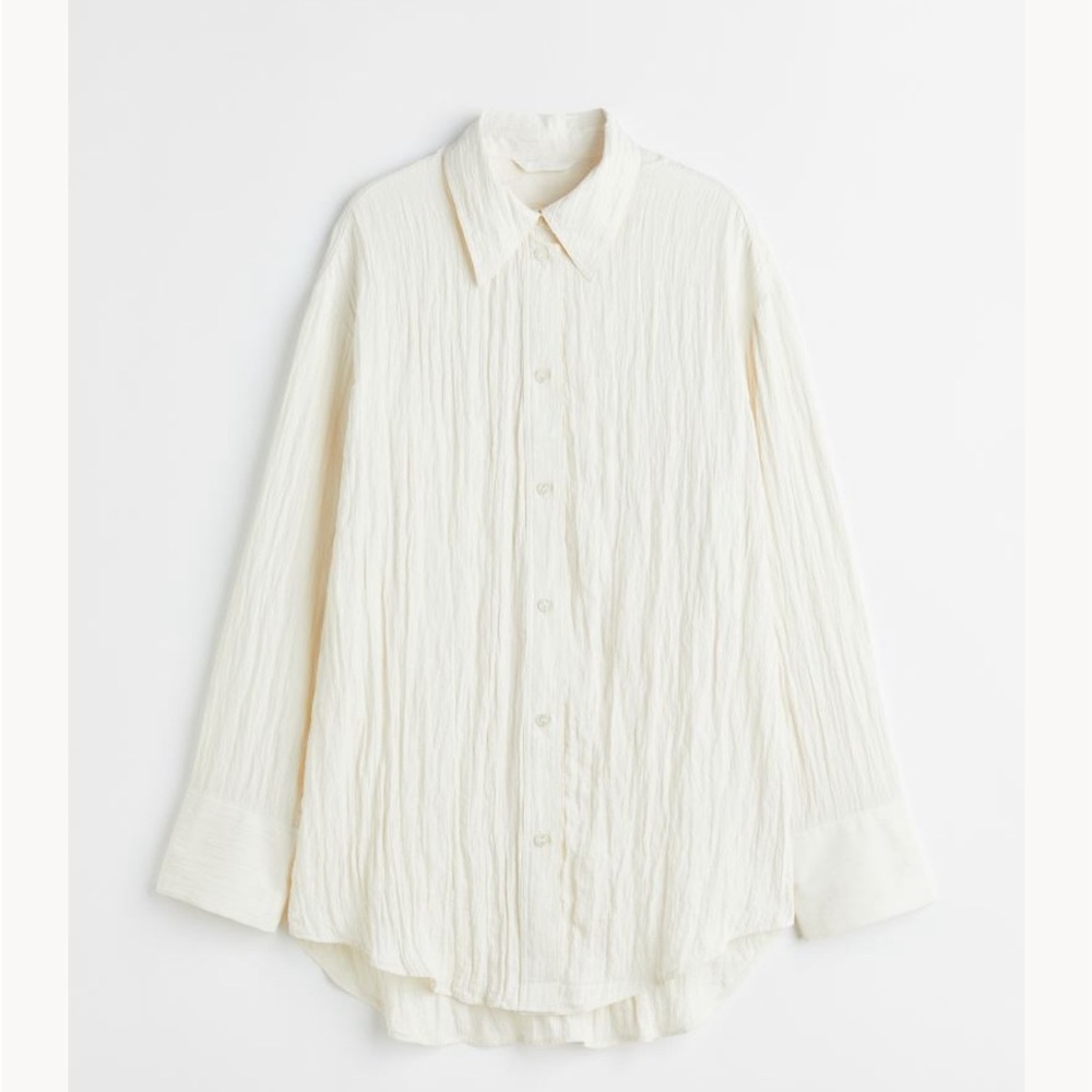 Crinkle Chiffon Shirt